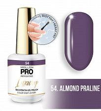 Гель-лак для ногтей MOLLON PRO LUXURY UV/LED №54 (8 мл)