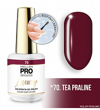 Гель-лак для ногтей MOLLON PRO LUXURY UV/LED №70 (8 мл)