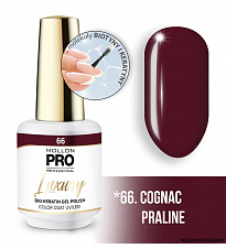 Гель-лак для ногтей MOLLON PRO LUXURY UV/LED №66 (8 мл)